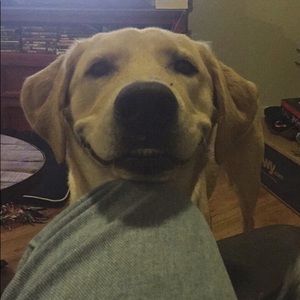 Meet your Posher, John aaron